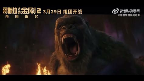 Godzilla X Kong The New Empire Mothra Vs Shimo And Skar King Trailer New 2024 Youtube