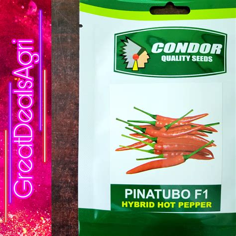 PINATUBO F HYBRID HOT PEPPER SEEDS GRAM CONDOR SEEDS Lazada PH