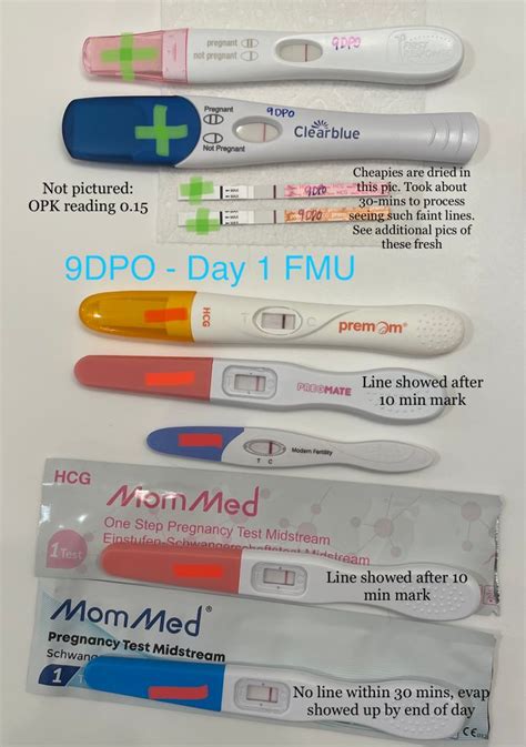 Pre Mom HCG Tests Trying To Conceive Forums What To Expect