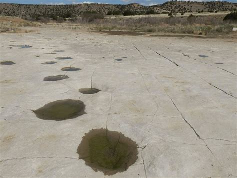 Hike We Like North Americas Largest Dinosaur Tracksite