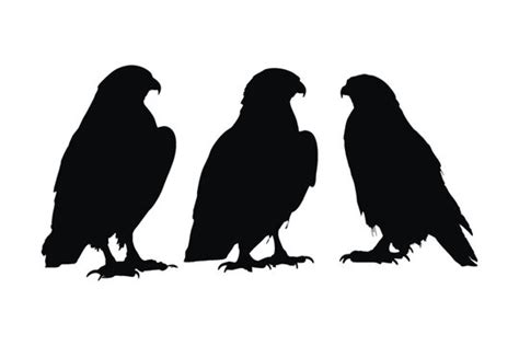 Hawk Silhouette Images Browse 125 Stock Photos Vectors And Video
