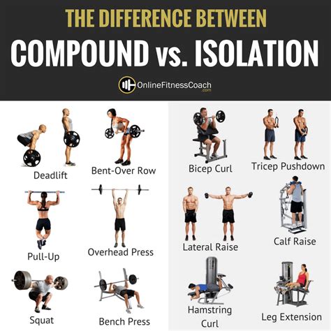 Compound Exercises Vs Isolation Exercises Which Is Better Online Fitness Coach