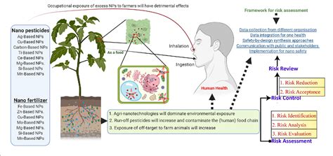 Nanoparticle Based Sustainable Agriculture And Food Science Recent