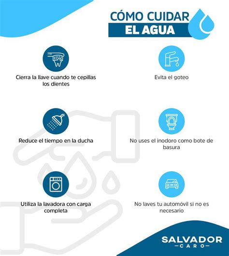 Movimiento Adverbio Arbusto Ejemplos Para Cuidar El Agua Vegetales