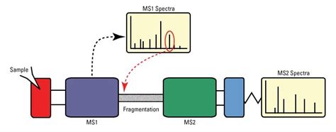 Overview Of Mass Spectrometry Thermo Fisher Scientific