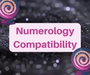 Life Path Number Compatibility All You Need To Know Numerologypedia