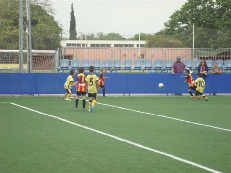 Cr Nica Pre Benjamines F Gr B Son Sardina Sp Rtvo Ciutat