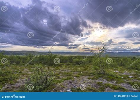 Paisaje De La Monta A Del Prado Y Del Cielo En Noruega Imagen De