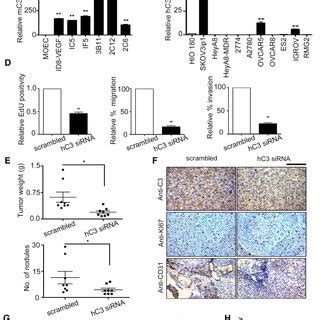 Ovarian Cancer Cells Secrete Complement Proteins Which Enhance Tumor