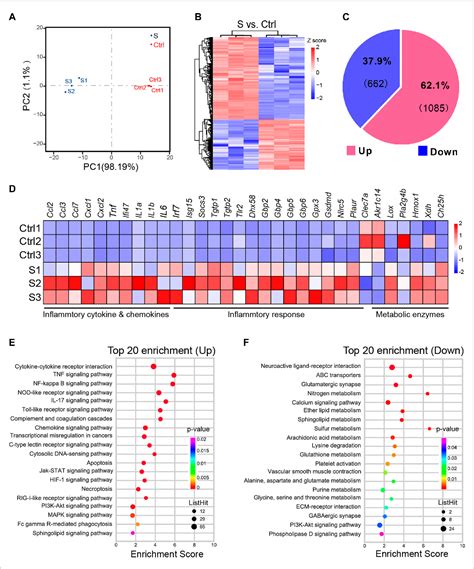 Integrated Transcriptomics And Metabolomics Analysis Of The Hippocampus