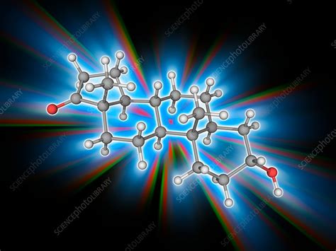 Androsterone Hormone Molecule Stock Image F0170180 Science Photo