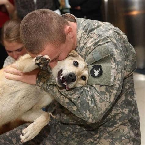 30 Stunning Photos Of Soldiers And Their Dogs That Speak For Themselves