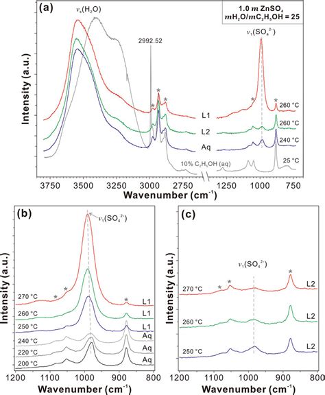 In Situ Raman Spectra Of 10 M Znso 4 With Mh 2 Omc 2 H 5 Oh Ratio Of Download Scientific