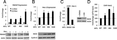 Oncogenic Mutations In The Fbxw7 Gene Of Adult T Cell Leukemia Patients