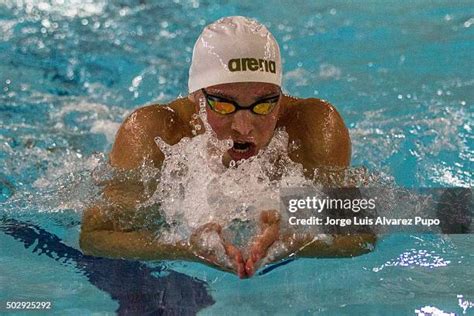 Belgium Swimming Team Training Photos And Premium High Res Pictures