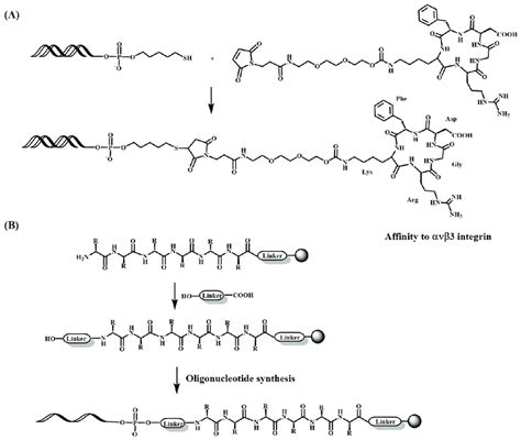 Preparation Of Oligonucleotide Peptide Conjugates A Postsynthetic