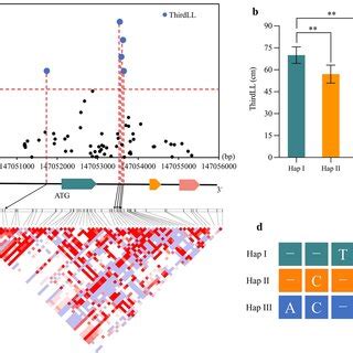 Candidate Gene Association Analysis Of Zm00001d026491 A Significant