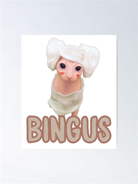 Bingus Sphynx Cat Towel Hat Poster By Cannevas Redbubble