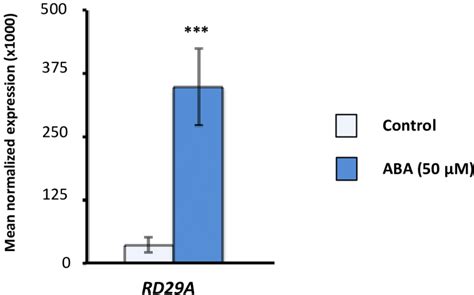 Effect Of The Abscisic Acid Aba Treatment On Rd A Gene Expression