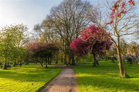 Whitworth Park in Manchester - Enjoy a Quaint and Relaxing Park – Go Guides