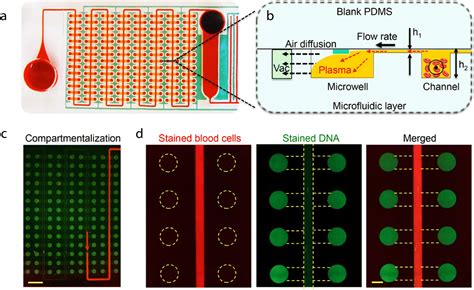 Simplifying The Complex Accessible Microfluidic Solutions For