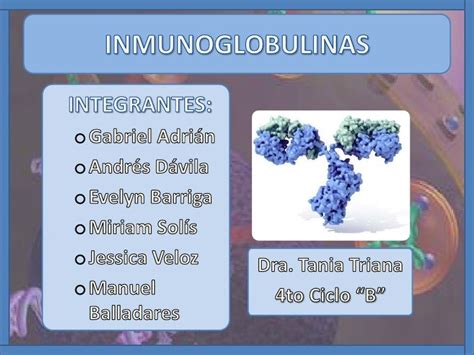 Inmunoglobulinas