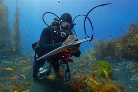 Home - National Geographic Society