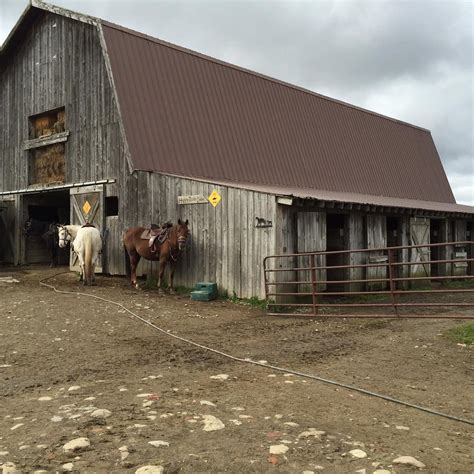 Double Dab Riding Stable All You Need To Know Before You Go 2025