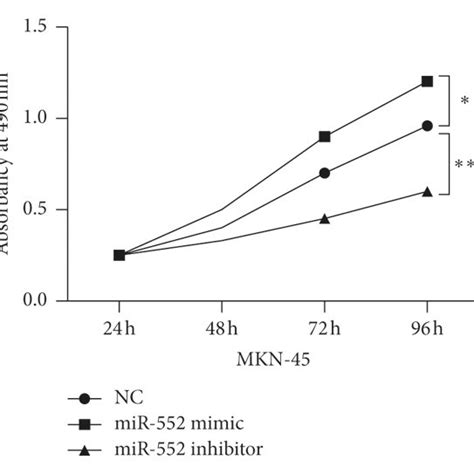 Upregulation Of MiR 552 Promoted Cell Viability And Metastasis In GC