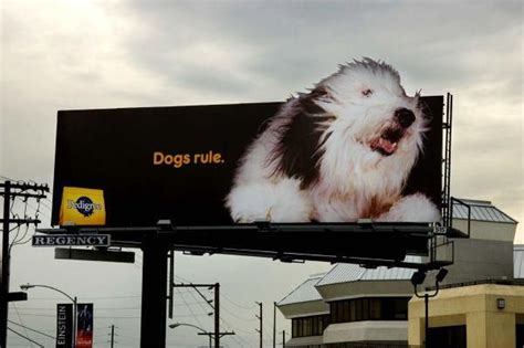 Billboard Grooming Style Pet Grooming Billboard Design Food Projects