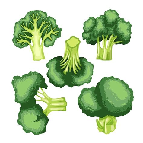 Premium Vector Broccoli Green Fresh Set Cartoon Vector Illustration