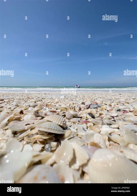 Naples Florida Usa 31823 Keewaydin Island Barrier Island Beach