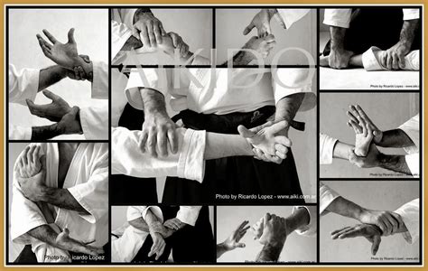 Aikido - Técnicas | Aikido martial arts, Martial arts sparring, Aikido