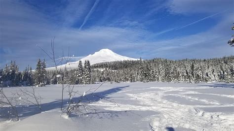 Mt Hood Oregón cerca del lago Trillium invierno nieve árboles