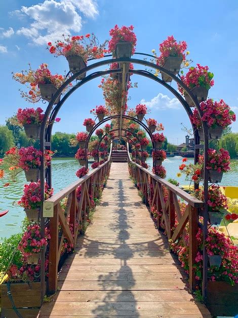 Premium Photo Footbridge Over Footpath Amidst Plants Against Sky