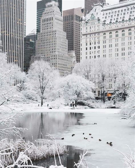 Top 10 Most Astonishing Photos of NYC Covered With Snow | New york ...