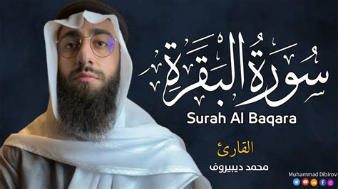 سورة البقرة كاملة للقارئ محمد ديبيروف Muhammad Dibirov Surah Al Baqara