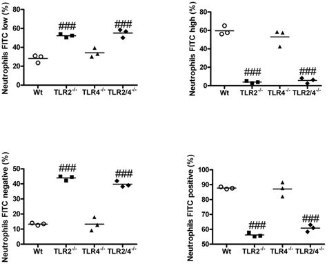 Bone Marrow Was Collected From Wild Type Wt And TLR Mice Grown