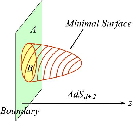 The Holographic Calculation Of Entanglement Entropy Via AdS CFT