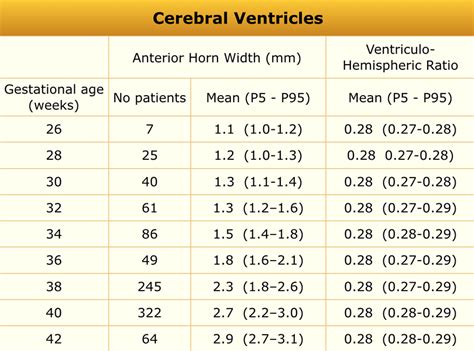 The Radiology Assistant Normal Values In Pediatric Ultrasound