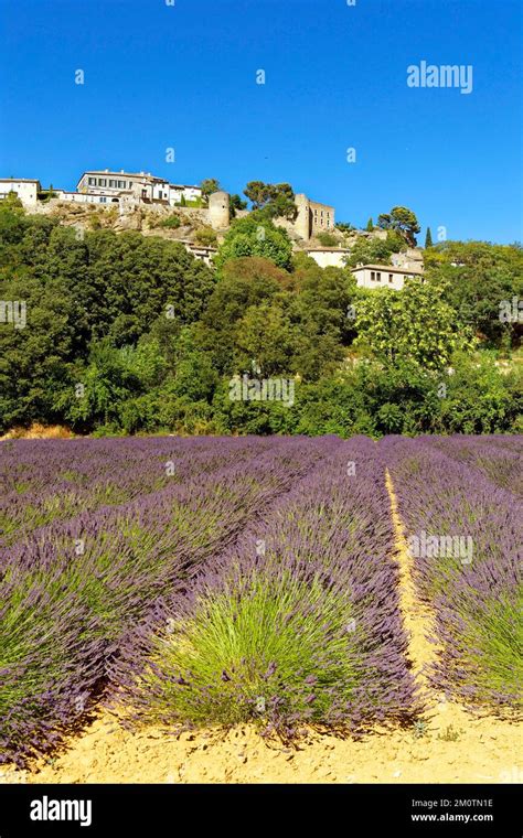 France Vaucluse Parc naturel régional du Luberon Ménerbes