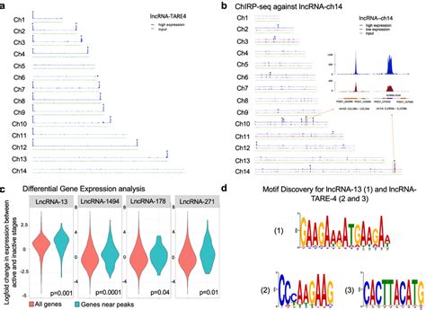 Chirp Seq Reveals Candidate Lncrna Binding Sites A Genome Wide Binding