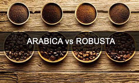 Арабика и Робуста. В чем разница?