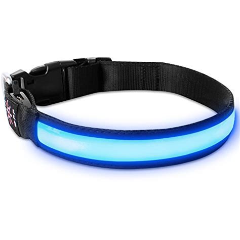 5 Best Led Light Up Dog Collars Staying Visible At Night