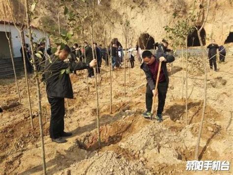 為了家園更綠更靚 滎陽市住建局這群人在黃河邊擼起袖子加油干 每日頭條