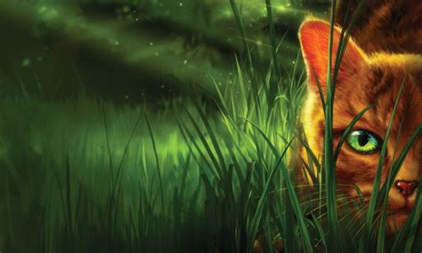 Into The Wild Cover Art Firestar Warrior Cats Warrior Cats Books