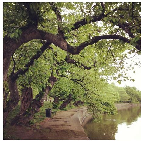 Green Places Beautiful Destinations Country Roads Places