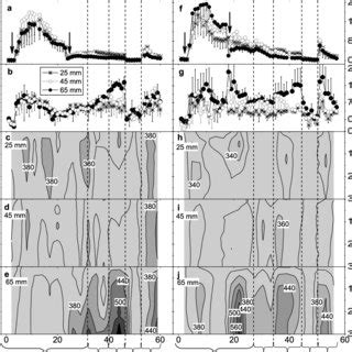 Dynamics Of The Fluxes Of Nitric Oxide No And Nitrous Oxide N O