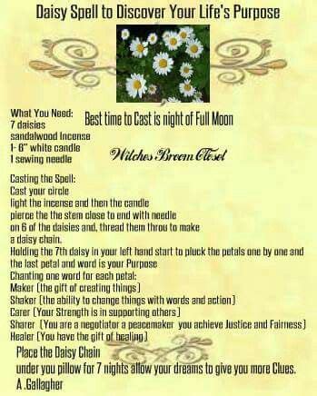 Pin By Anna Laurenson On Magic Of Herbs Wiccan Spell Book Magic