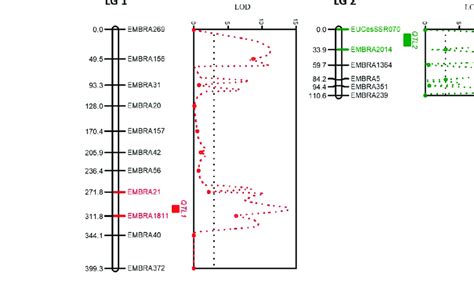 The Corresponding Qtl Positions In The Two Different Linkage Groups For